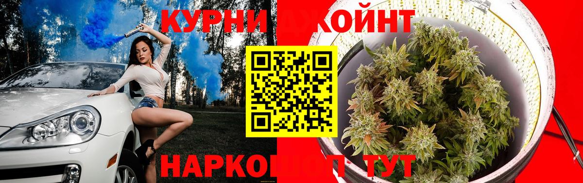 Канабис планчик Шелехов